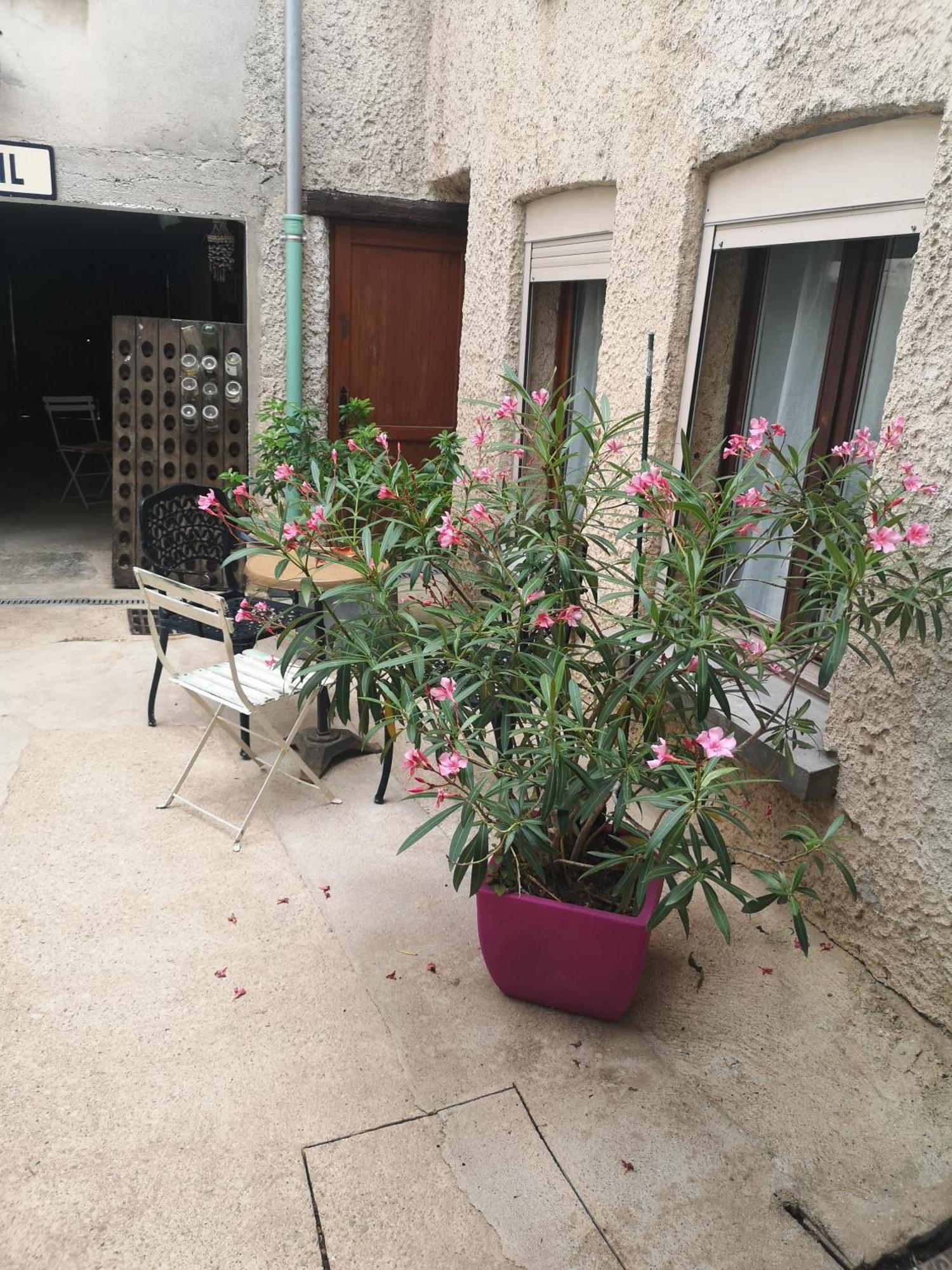 Appartement Au Terminus 2 Climatisé